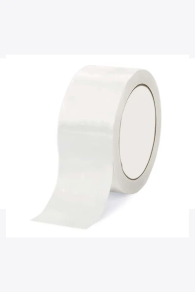 ALBANT TAMİR BANTI BEYAZ (48 MM X 10 MT)