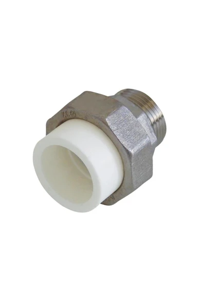 KALDE OYNAR BAŞLI RAKOR ERKEK Q25X3/4 BEYAZ