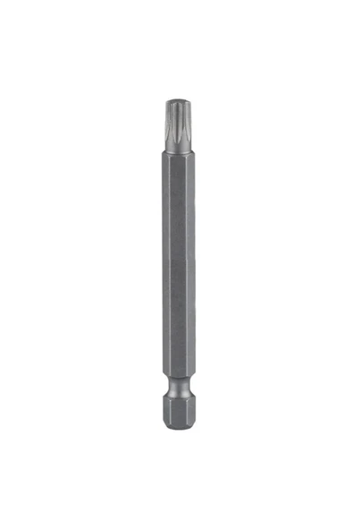 BAY-TEC BİTS  UÇ  T  30 X 100mm