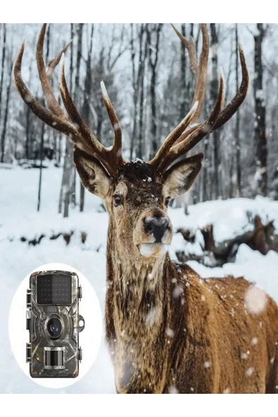 ULTRATEKNO TR Foto Kapan Takip Kamerası İzcilik Avcılık Kamerası Yaban Hayatı İzleme 1080P IP66 için 38 LED'li - 8