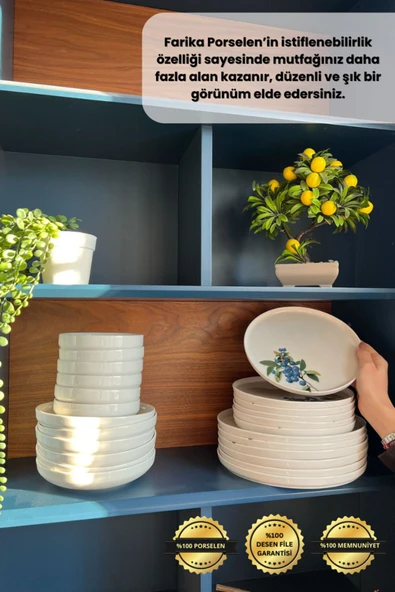 Farika Porselen Arya 24 Parça 6 Kişilik Porselen Yemek Takımı - 4