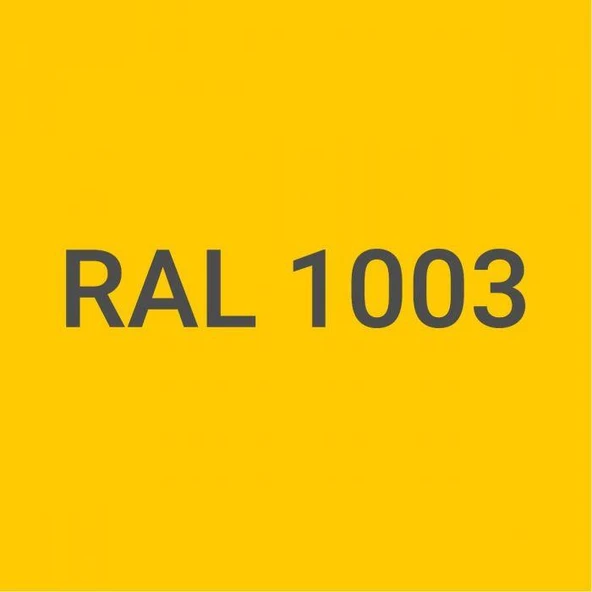 Pamukkale 1472 Rapid Endüstriyel Boya 30-40 Gloss 15 Kg Taksi Sarı Ral 1003 - 2