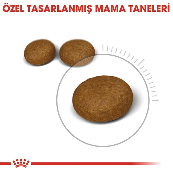 Royal Canin Hair Skin Kedi Maması 2 Kg - 3
