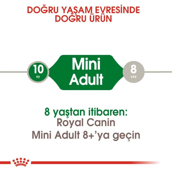 Royal Canin Mini Adult Köpek Maması 8 kg - Resim 3