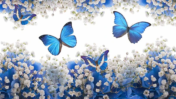 Mavi Beyaz Çiçek ve Kelebek Duvar Kağıdı Baskı - Resim 7