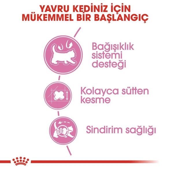Royal Canin Mother BabyCat  Yavru Kuru Kedi Maması 4 Kg - 5