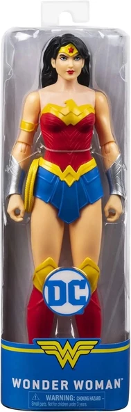 DC Comics Eylem Figürleri Spin Master - 7