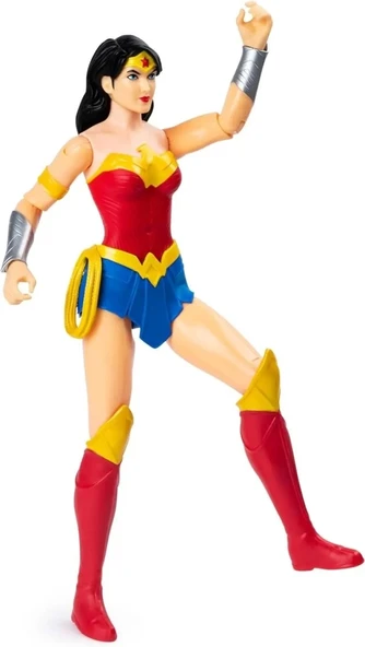 DC Comics Eylem Figürleri Spin Master - 3