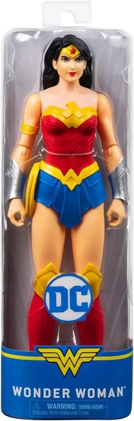 DC Comics Eylem Figürleri Spin Master - 2