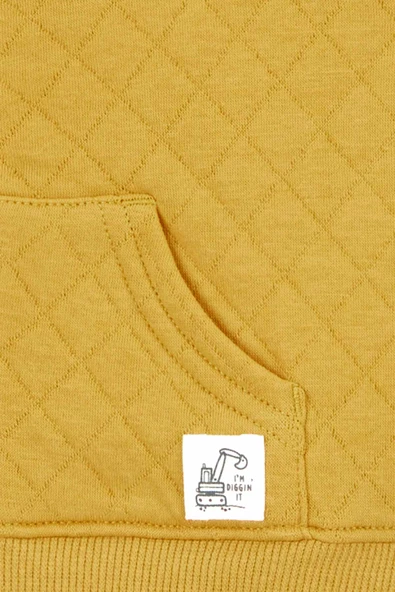 Carters Renkli Erkek Bebek Yelekli Set 3'lü Paket 1R293810R - 2