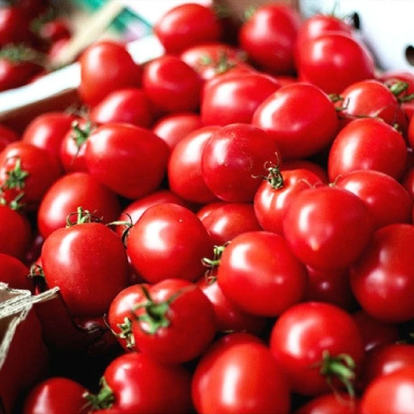 ByKurt Sunagri Cherry Domates Tohumu - Parlak Kırmızı Lezzetli Yüksek Verimli Askıya Uygun - 3