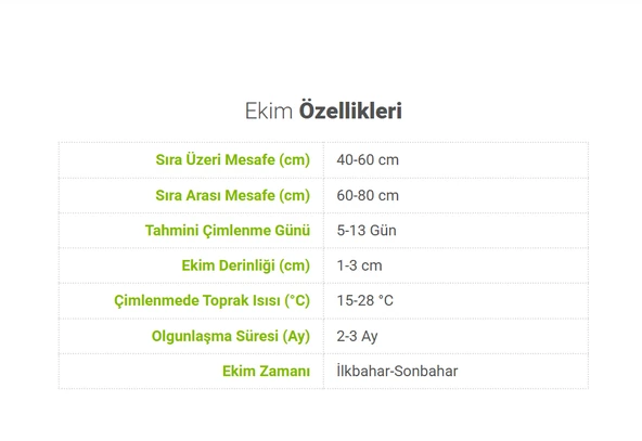 ByKurt Sunagri Cherry Domates Tohumu - Parlak Kırmızı Lezzetli Yüksek Verimli Askıya Uygun - 4