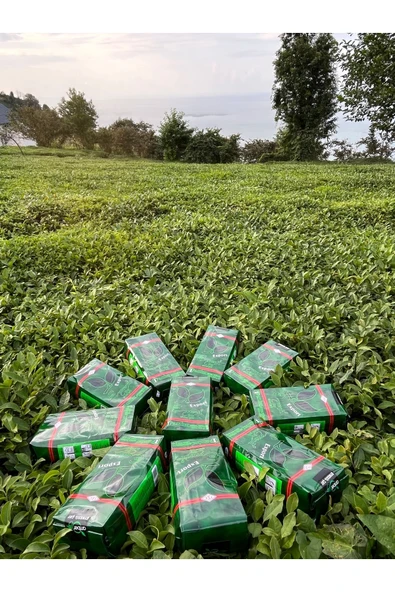 Amber Çay Eynesil Export Çay 500 gr X 6 Paket - 3
