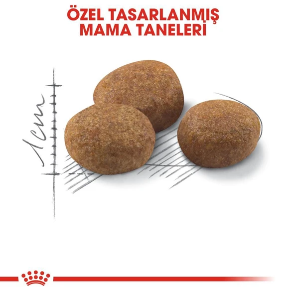 Royal Canin +7 Yaş Üzeri Kısırlaştırılmış Kedi Maması 3,5 Kg - Resim 3