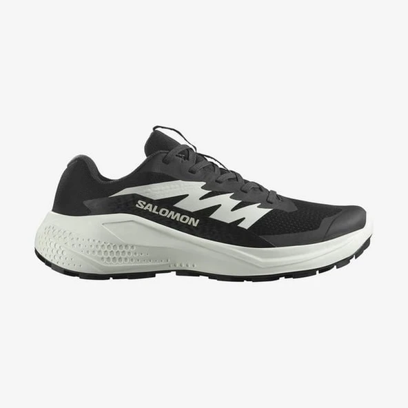 Salomon ALPHAGLIDE W Kadın Ayakkabısı L47801500