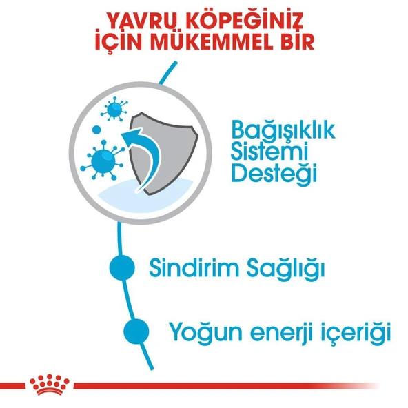 Royal Canin Mini Puppy Yavru Köpek Maması 4 kg - 5