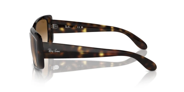 RAY-BAN 0RB4389 710-51 58 - 2