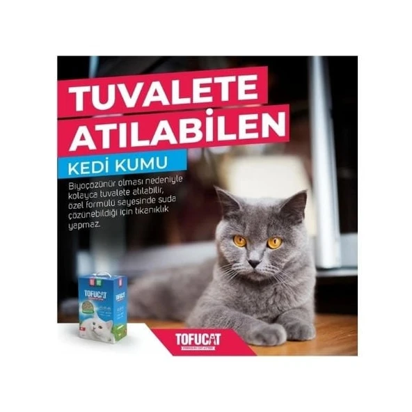 TofuCat Tuvalete Atılabilen Koku Hapsedeci Topaklanan Doğal Kedi Kumu 8 Lt - 2