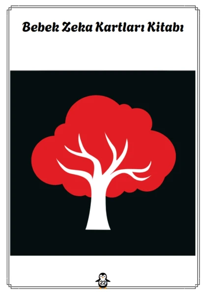 Bebeğinize Özel Zeka Kartları Kitabı (30 Kart ve Kapakta Bebeğinizin Resmi) - Resim 2