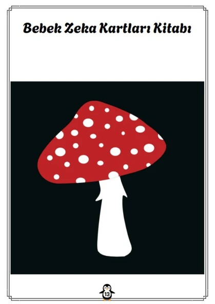 Bebeğinize Özel Zeka Kartları Kitabı (30 Kart ve Kapakta Bebeğinizin Resmi) - Resim 4