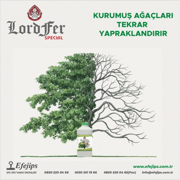 LORDFER SPECIAL 5 LİTRE