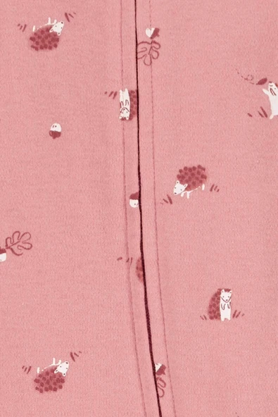 Carters Pembe Kız Bebek Uyku Tulumu 1R595910P - 2