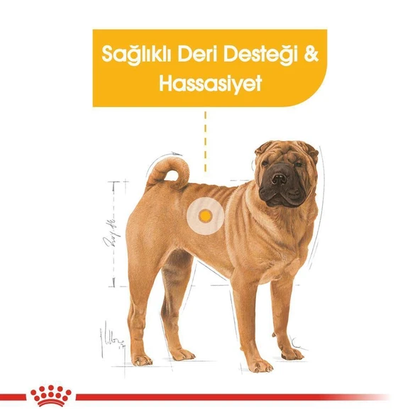 Royal Canin Medium Dermacomfort Yetişkin Köpek Maması 12 Kg - Resim 4