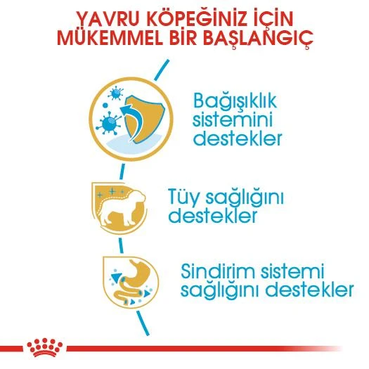 Royal Canin Poodle Puppy Köpek Maması 3 Kg - 5