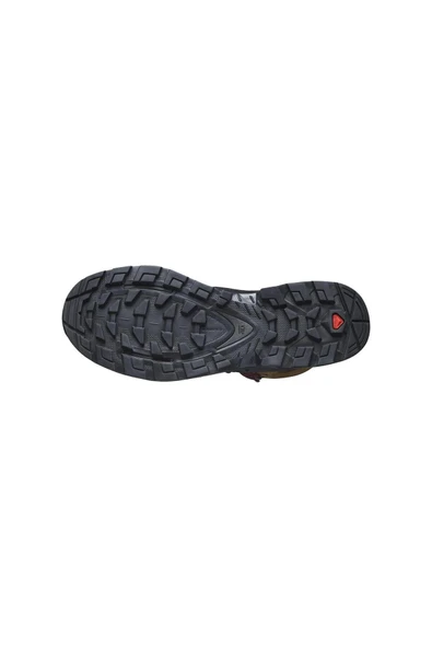 Salomon  Quest 4 Gtx Ayakkabı L47156400 Kahverengi-46? - 2