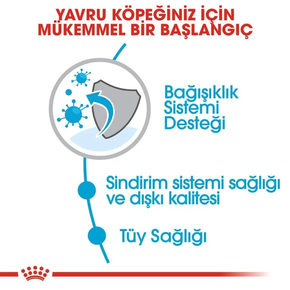 Royal Canin Mini İndoor Puppy Köpek Maması 1,5 kg - 5