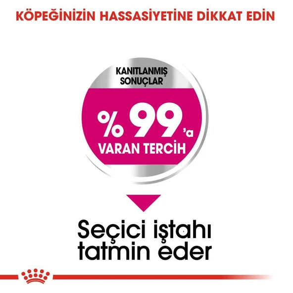 Royal Canin Mini Exigent Köpek Maması 3 Kg - Resim 4