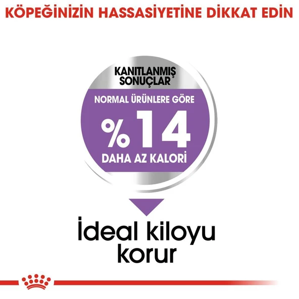 Royal Canin Mini Sterilised Kısır Köpek Maması 3 Kg - Resim 4