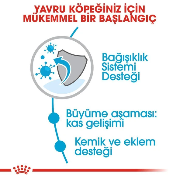 Royal Canin Giant Junior Dev Irk Yavru Köpek Maması 15 Kg - 5