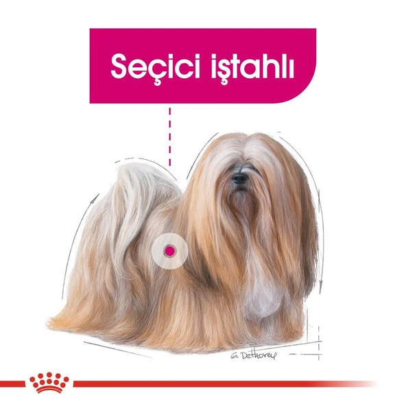 Royal Canin Mini Exigent Köpek Maması 3 Kg - Resim 5