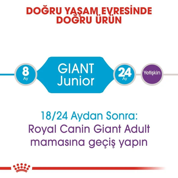 Royal Canin Giant Junior Dev Irk Yavru Köpek Maması 15 Kg - 4