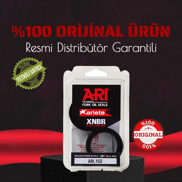 ARIETE YAMAHA XVS MIDNIGHT STAR 1300 (2007-2016) ÖN AMÖRTİSÖR YAĞ KEÇESİ ÇİFT YAYLI 41X53X8/10,5 - Resim 3