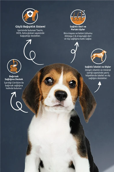 REFLEX Puppy Kuzu Etli Pirinçli   Yavru Köpek Maması15 Kg - 3