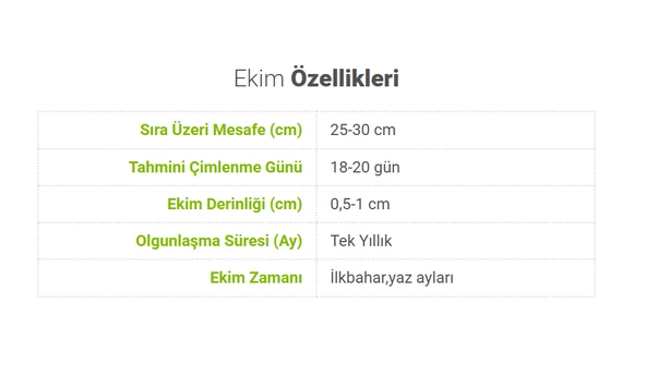 ByKurt Sunagri Mor Reyhan Tohumu - Aromatik Mor Renkli Bahçeler İçin Çekici ve Lezzetli - 5