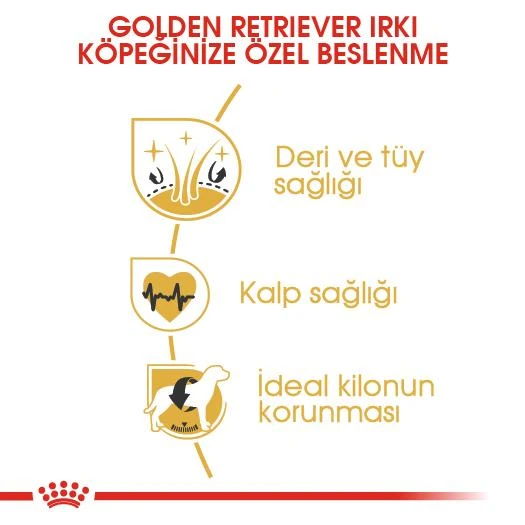 Royal Canin Adult Golden Retriever Özel Köpek Maması 12 kg - 4