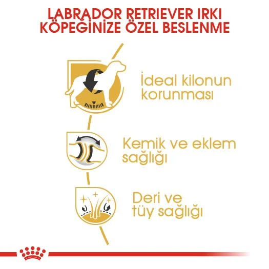 Royal Canin Labradorlar İçin yetişkin Köpek Maması 12 kg - 4