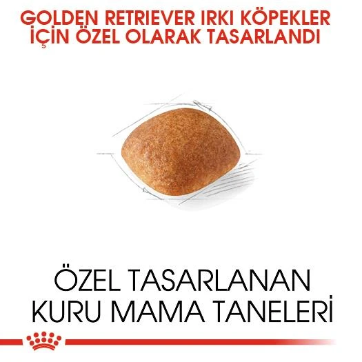 Royal Canin Adult Golden Retriever Özel Köpek Maması 12 kg - 3