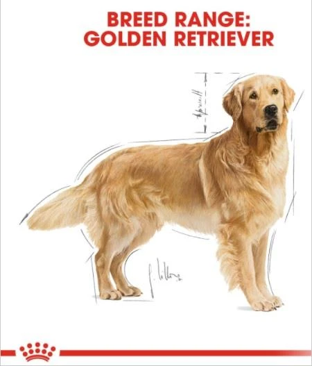 Royal Canin Adult Golden Retriever Özel Köpek Maması 12 kg - 7