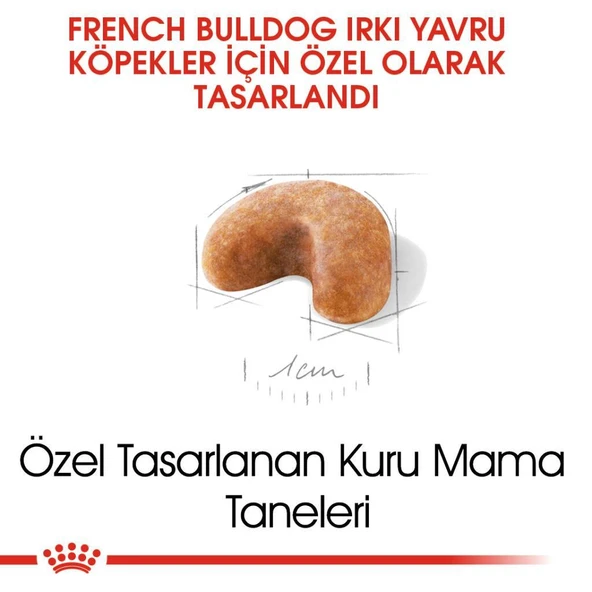 Royal Canin French Bulldog Yavru Köpek Maması 3 kg - 3