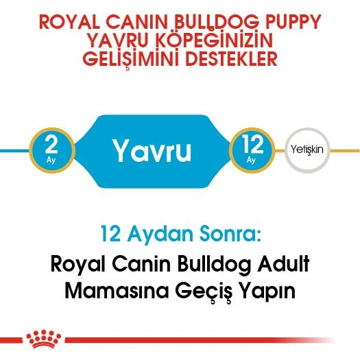 Royal Canin French Bulldog Yavru Köpek Maması 3 kg - 4