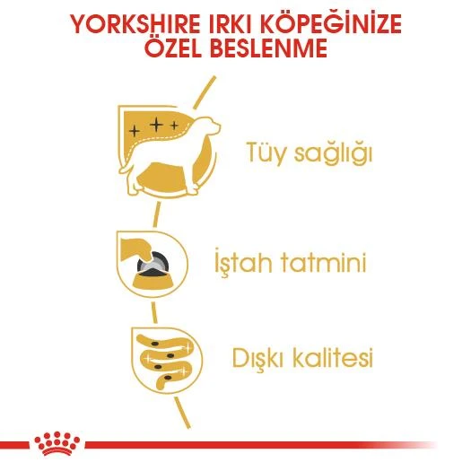 Royal Canin Yorkshire Yetişkin Köpek Yaş Mama 85 Gr - 5
