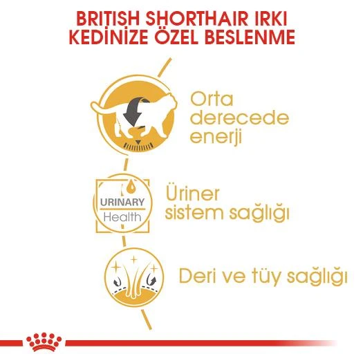 Royal Canin British Shorthair Yaş Kedi Maması 85 Gr - 5