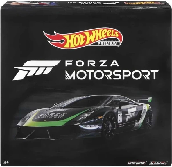 Hot Wheels Araba Kültürü Dağ Sürücüleri Tasarım Konteyner Seti - 6