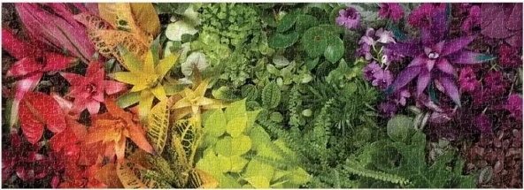 Galison Bitki Yaşamı Puzzle - 3