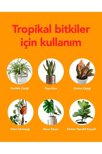 Petroturk Tropikal Sıvı Bitki Besini Kullanıma Hazır– Canlı Yapraklar Ve Güçlü Kökler 250Ml - 4