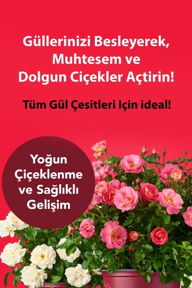 Petroturk Gül Sıvı Bitki Besini Kullanıma Hazır 250Ml - 4